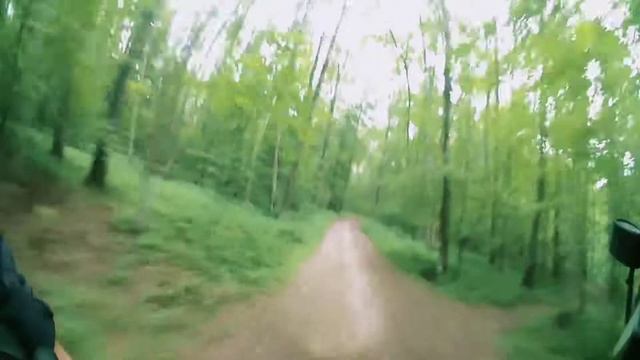 Лес, электросамокат.. коротенько 🙄