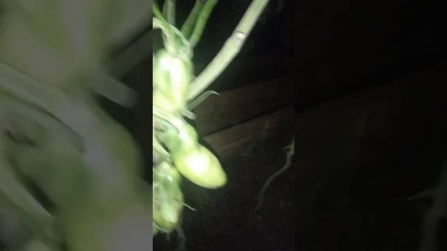 B165e6c6dc497f884938b7adf098d8ba