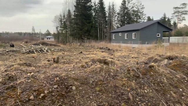 Подготовка неразработанного участка. Спил и мульчиро?