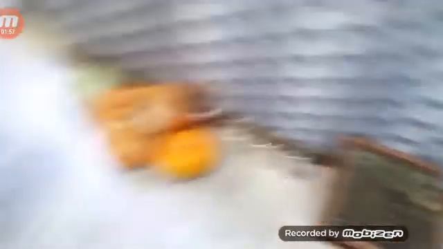 КОРОЧЕ ГОВОРЯ МОЙ БРАТ ПОМЕШАЛСЯ НА ЭЛДЖЕЯ