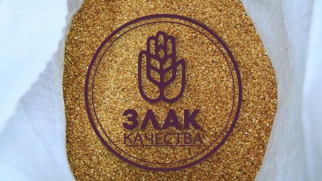 Как растет хлеб? Южно-Сибирский зерновой комплекс.