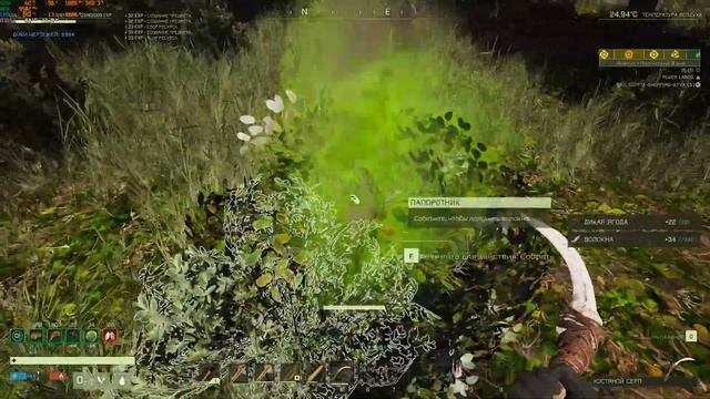 ICARUS FPS Тест RTX 3080TI | R9 5900X | 2K