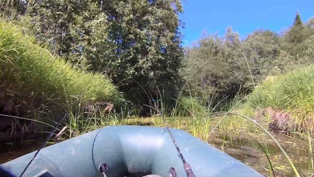 9f001cd6d9a370ef141a4d19e7d5ce95