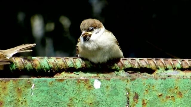 376f203f0595a2e884805c76206f3fcc