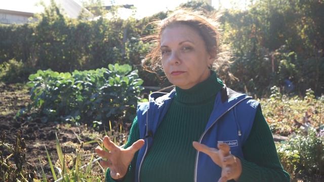 416d2909415491519fd8d2af297fdb86