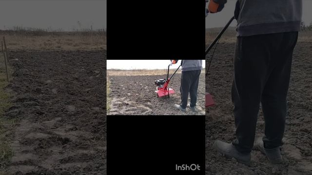 Культиватор FORTE МКБ-650В.