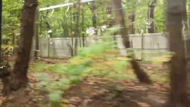 Поездка на Трамвае 71-931 Витязь-М номер 31096.