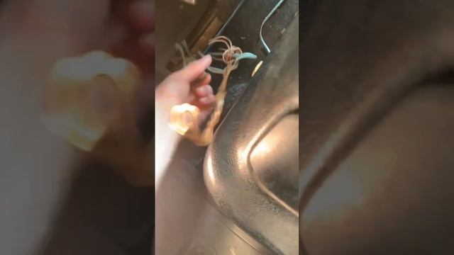 Ремни безопасности