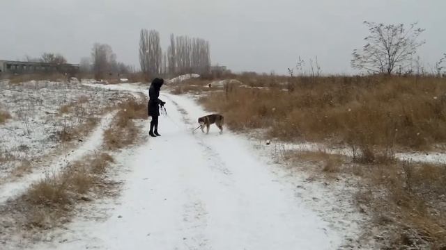 Cafb2dbd14448ae24e96a7c0aa8976c6