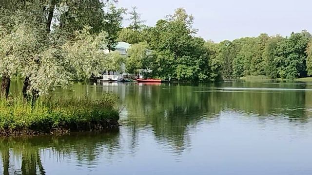 Гондола появилась... Пушкин, август 2023