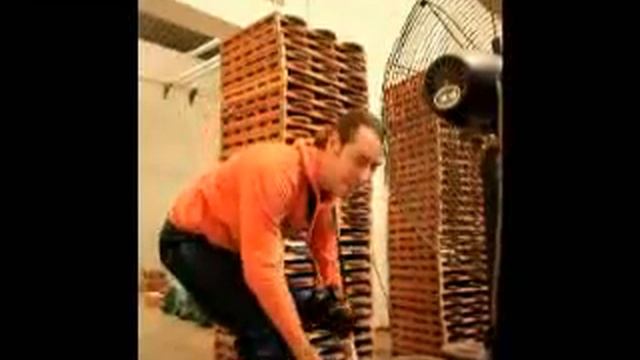 Экскурсия на завод Пуэра. ©ЧП & RealChinaTea