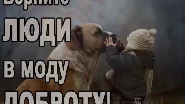 Давай спасать добротой (И.Самарина)