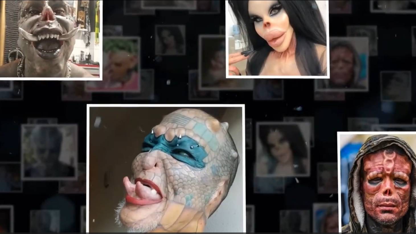 A2d3ee27f47671763355c55268c9ae14