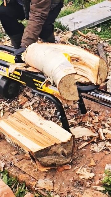 Дровокол Champion LSH5001