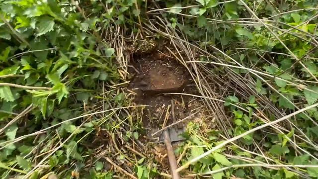 ОТКУДА У БАБУШКИ ТАКИЕ НАХОДКИ! ТРИ ГОЛОВКИ У СТАРОГО ?