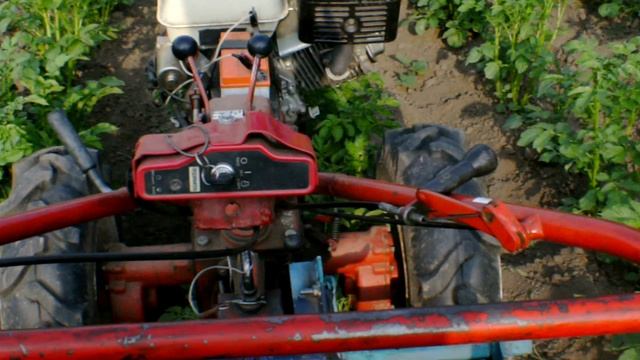 Окучка  картошки  самодельным дисковым окучником