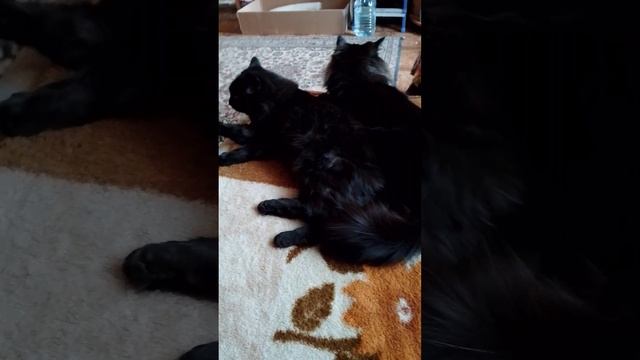 Обесчешуивание.Значение цвета  фуксии и мой предприбо