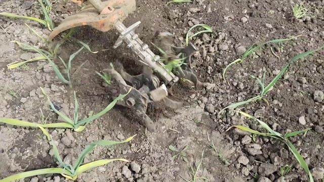 98386fc1d6fe0dcc95af994f691d6e52