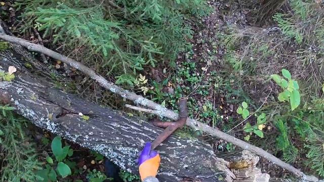 🟨 ПРОГУЛКА ДЛИНОЮ В 10КМ С МД В ПОИСКАХ МЕТАЛЛА СССР!