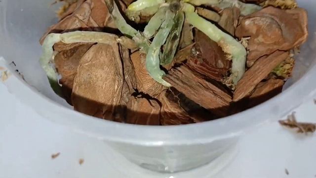 9aaec4eeb725a3469bfd7bc877d354b8