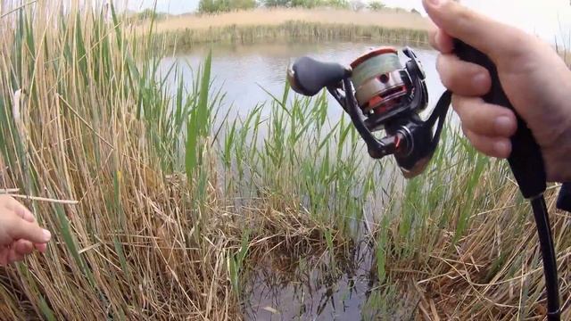 Ловля щуки на воблер в зарослях травы на мелководье в ?
