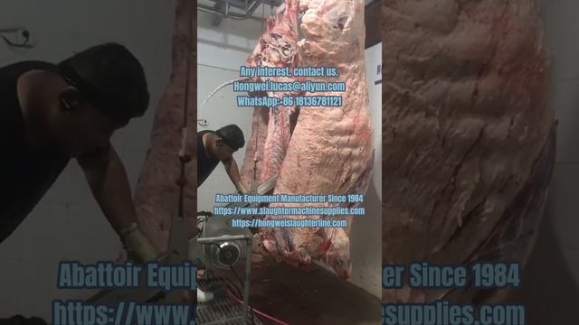 Cattle Beef Carcass Half Splitting Saw Abattoir пила для распиловки туш кру?
