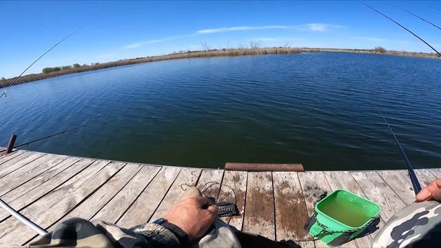 ВЕСЕННЯЯ  ПОПЛАВОЧНАЯ  РЫБАЛКА : отличный улов ВОБЛЫ и