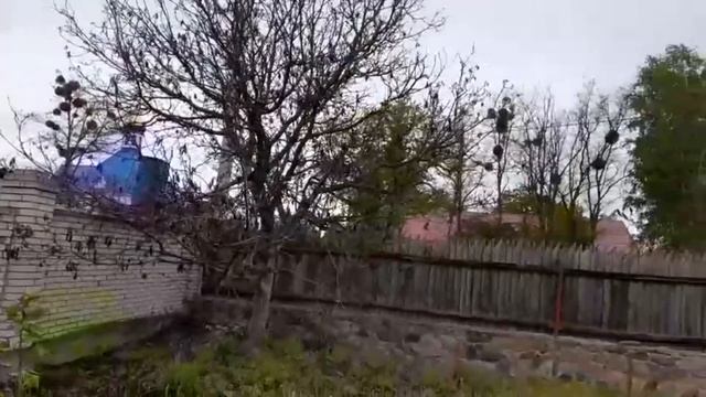 Самое вкусное место в Анкаре 🤤Бабуля о своем участке