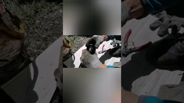 Rutube_account_19563293