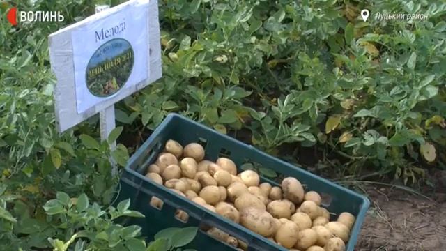 29c0f76789114dccafcb2a666846f950