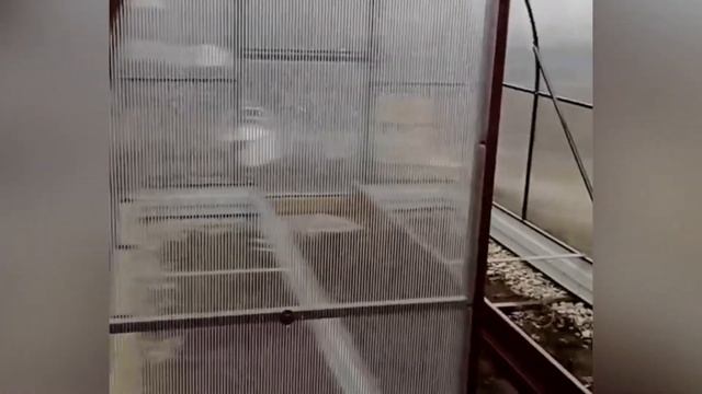 ТЕПЛИЦА АРОЧНАЯ 2,5М. Ширина 2,5 метра.