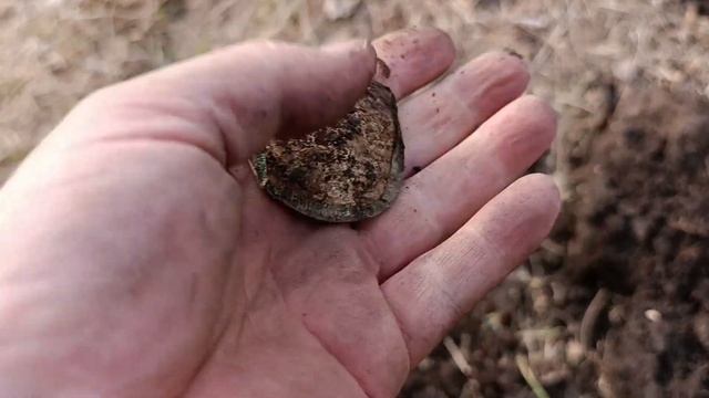 Что можно найти в степи прибором