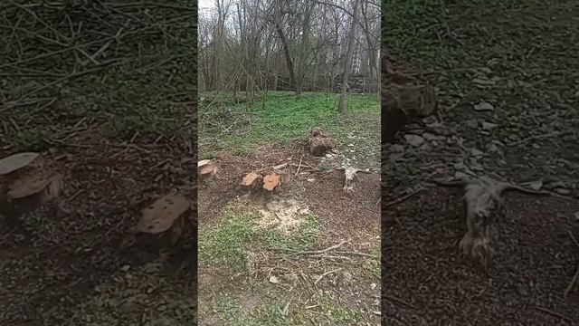 Эксплуатация Электро пастуха плюсы минусы и нюансы.  П