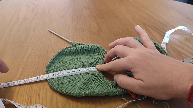 Джемпер Квітень. Завершений росток. Перші рядки візер?