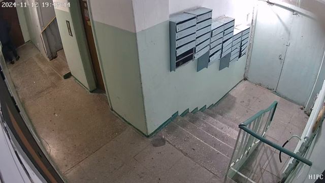 В Усть-Каменогорске злоумышленник украл камеры видео?