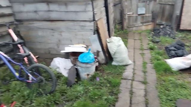 Работа в огороде продолжается. Рыхлю, борюсь с сорняка