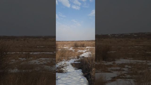 Ce59219a69a50a143732b9d7263c5d1a