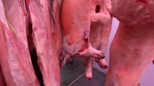 Тушка барана. Охлажденное мясо