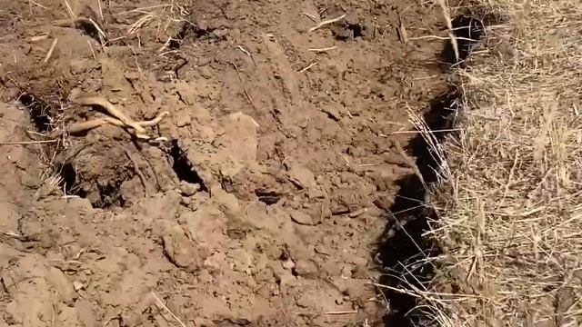 5cd9c1c2c4c21459755fba32d35ef9a7