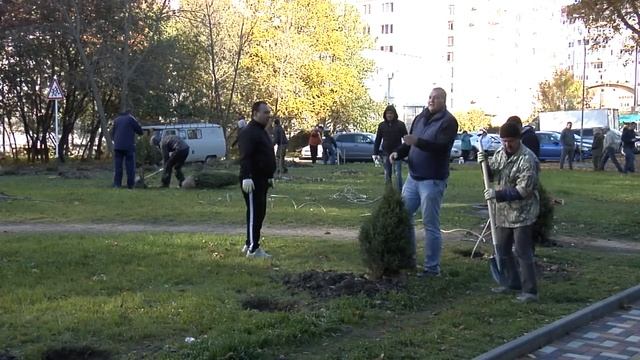 На Аллее Ветеранов в Ставрополе высадили более сотни ?