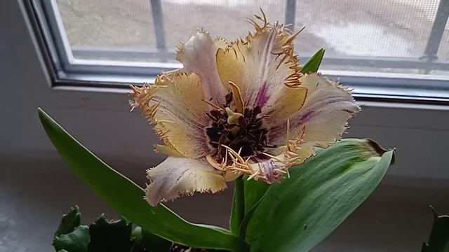 011b60555f987fcc8d8fa973bfa1b904