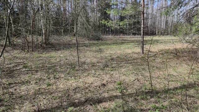 F5c98e4655ec663e70e7330459ac8cd4