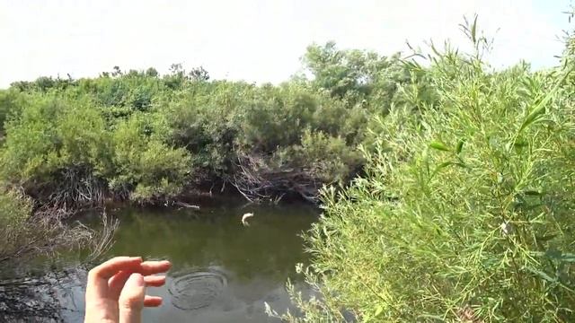 A65931e5b6e58bf21f4fba7215c9dbff