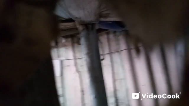 Ae730c216a4e8ecb9d79105db41e737f