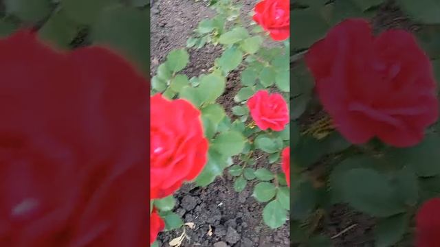 C4e48015f0e4812215218e888f4fdc07