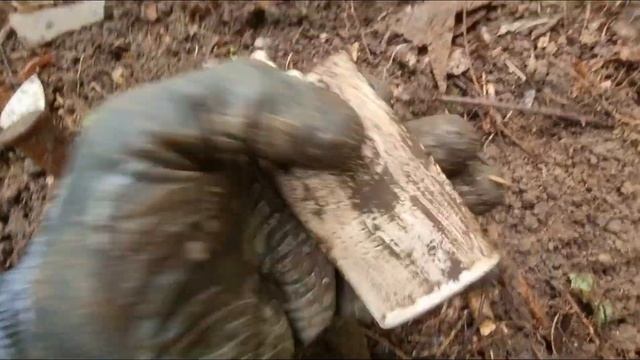 Совместный коп с камрадами. Интересные находки.