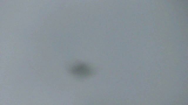 Курские 13.06.2025.