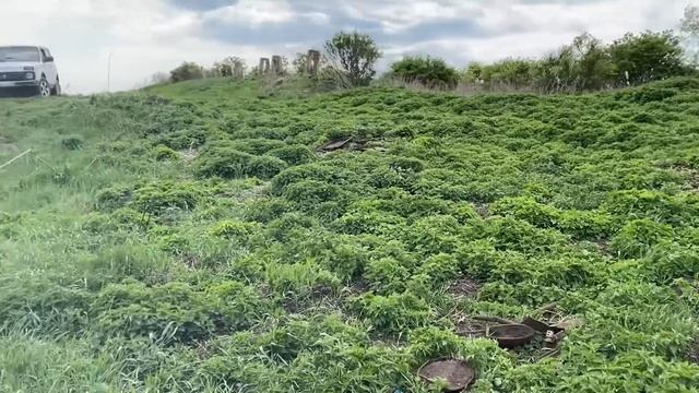 В Этих Местах Всегда Есть Металлолом!#коп #находкисмет