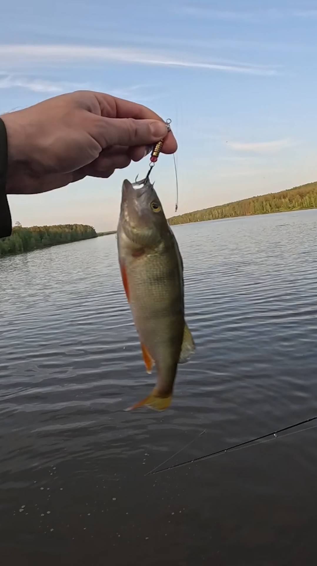 Гоняем матросов и щучку!!!