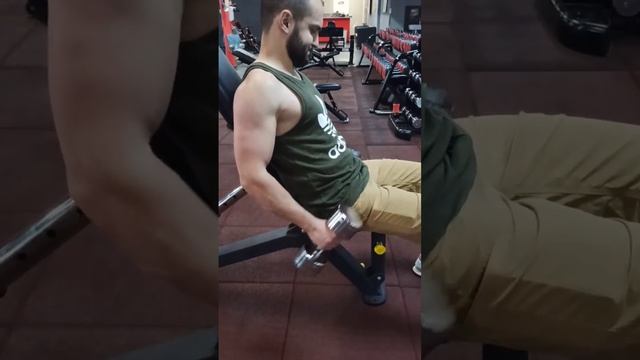 тренировка спина трицепс пресс для дома